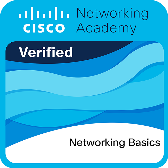 Networking Basics badge